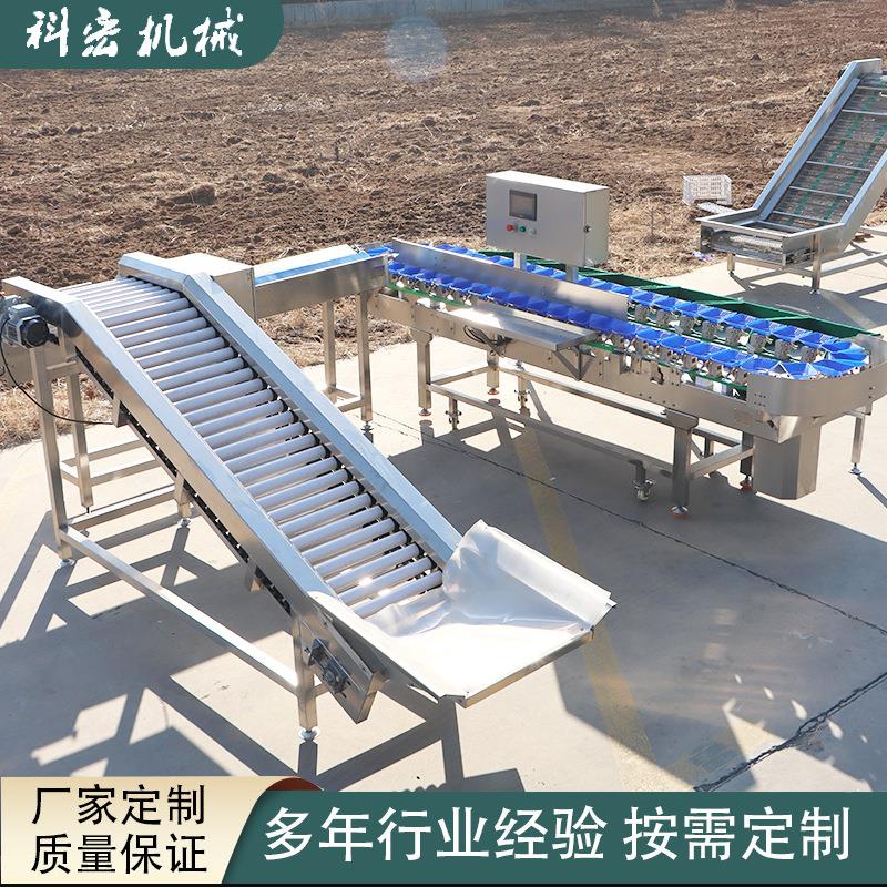 小龙虾重量分选机厂家定制料盒鸡爪猪蹄分级机自动检测精准高效