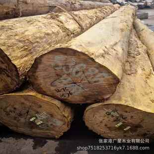 黄硬木原木黄檀木黄胆木户外硬杂木垫木古建筑地板木料