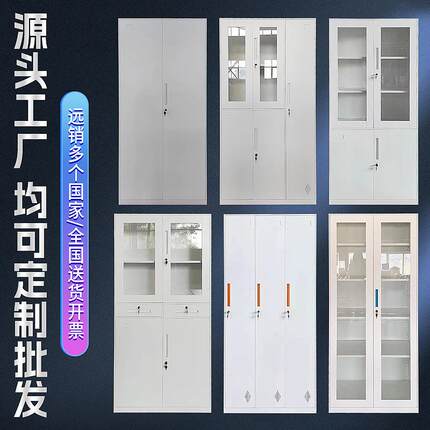 通玻对开文件柜办公室a4整理收纳柜财务凭证柜带锁铁皮更衣柜天津