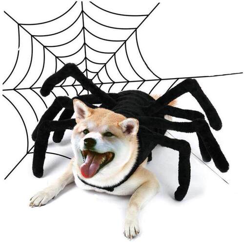 Pet costume Halloween funny spider chest back cat costume