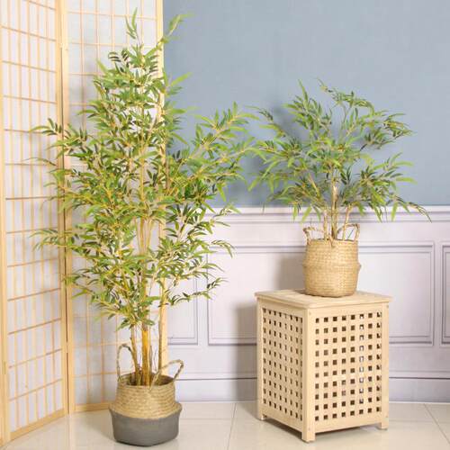 仿真竹子落地假竹树客厅仙人掌绿植盆栽摆件植物装饰盆景真