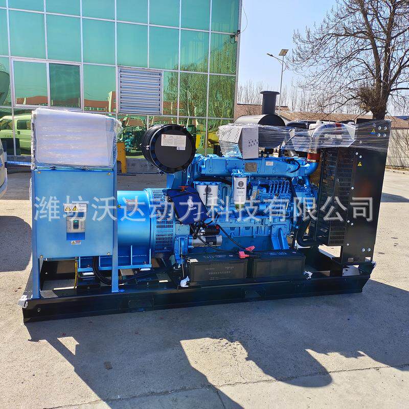 潍柴300KW柴油发电机组厂家300千瓦发电机组柴油机船舶主发发电机