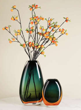 玄关插花摆件轻软装饰品水养样板房简约现代玻璃花瓶餐桌装奢琉璃