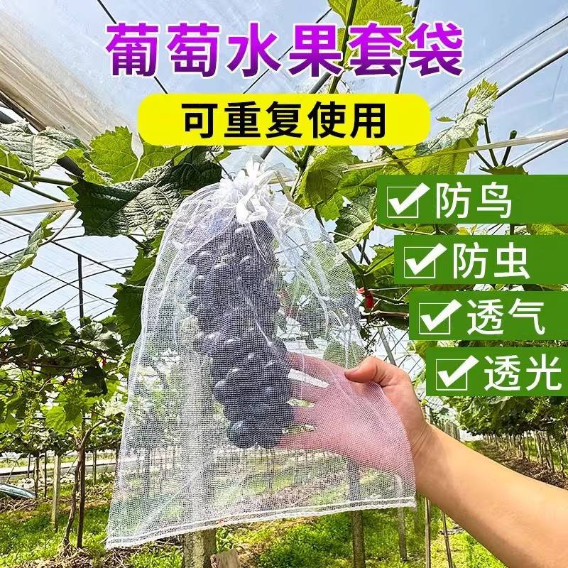 果树防虫网袋防鸟纱网袋保护葡萄袋无花果番石榴草莓套袋桃子套袋