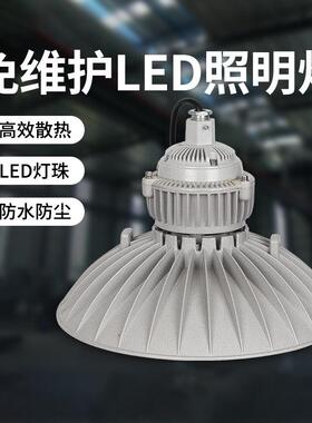 SZSW8460防爆LED高顶灯100W150W200W240W250W300W