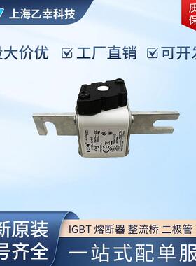 巴斯曼熔断器 170M4267 170M4268 170M4269 170M4308 170M4309