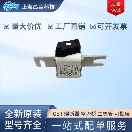 巴斯曼熔断器 170M4310 170M4311 170M4312 170M4313 170M4314