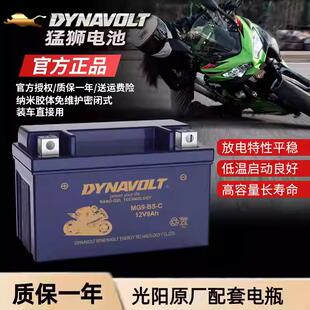 光阳赛艇250 300 CT250 300 S400 S350 S250 CK250T-10电瓶蓄电池