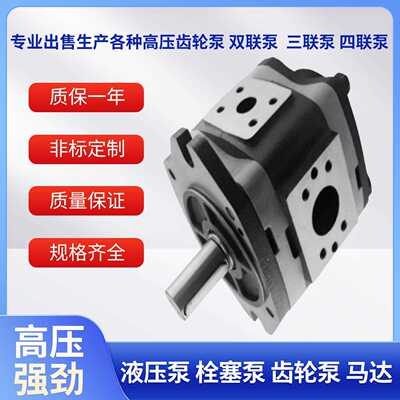 液压齿轮泵IPN 6-125 -101 IPM4-13101 IPV 6-100-101齿轮泵马达