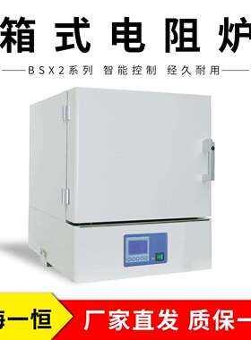 上海一恒BSX2-5-12TP可程式箱式电阻炉马弗炉