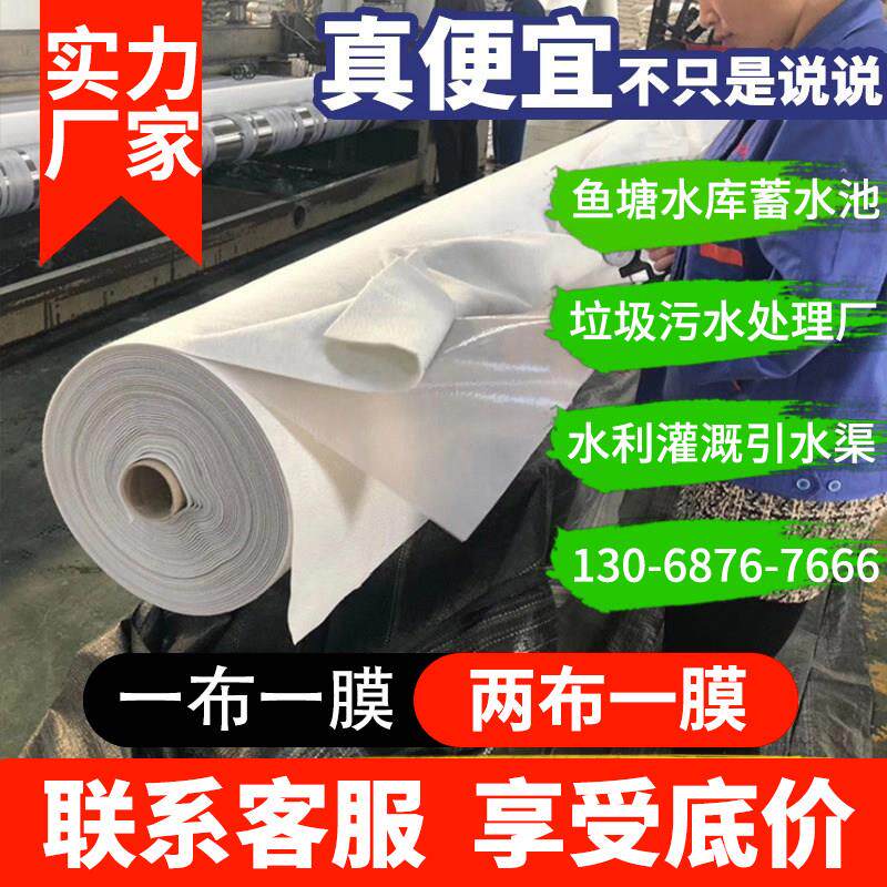 覆合土工膜防渗膜鱼塘鱼池蓄水池河道防水HDPE膜护坡防漏两布一膜