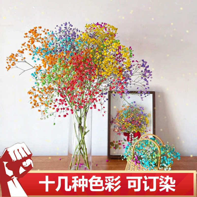 满天星干花花束论斤卖云南批发玻璃罩玫瑰永生花配花diy花材手工