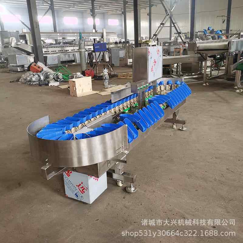 土果豆山芋分拣机 梅蜜机桃蔬重量筛选 鸡爪鸡杨腿白条VXZ分拣设