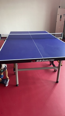 揭秘吐槽双鱼乒乓球桌怎么样有人刚入手又退掉为何?