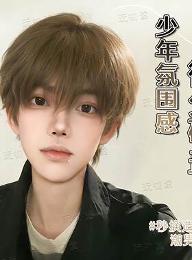 冷棕色假发男生短发微分碎盖男氛围感自然蓬松男士仿真男款全头套