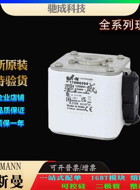 巴斯曼170M6595 170M6596 170M6597 大量现货厂价销售 快熔保险丝