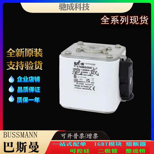巴斯曼170M6595 170M6596 170M6597 大量现货厂价销售 快熔保险丝