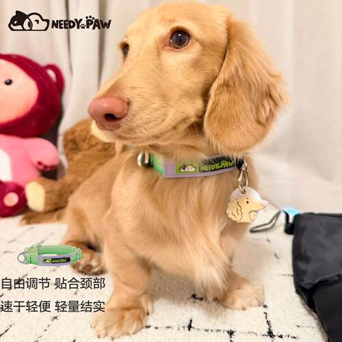 新品韩国Needypaw宠物项圈狗狗脖圈牵引绳搭配项圈独立ID标悬挂点
