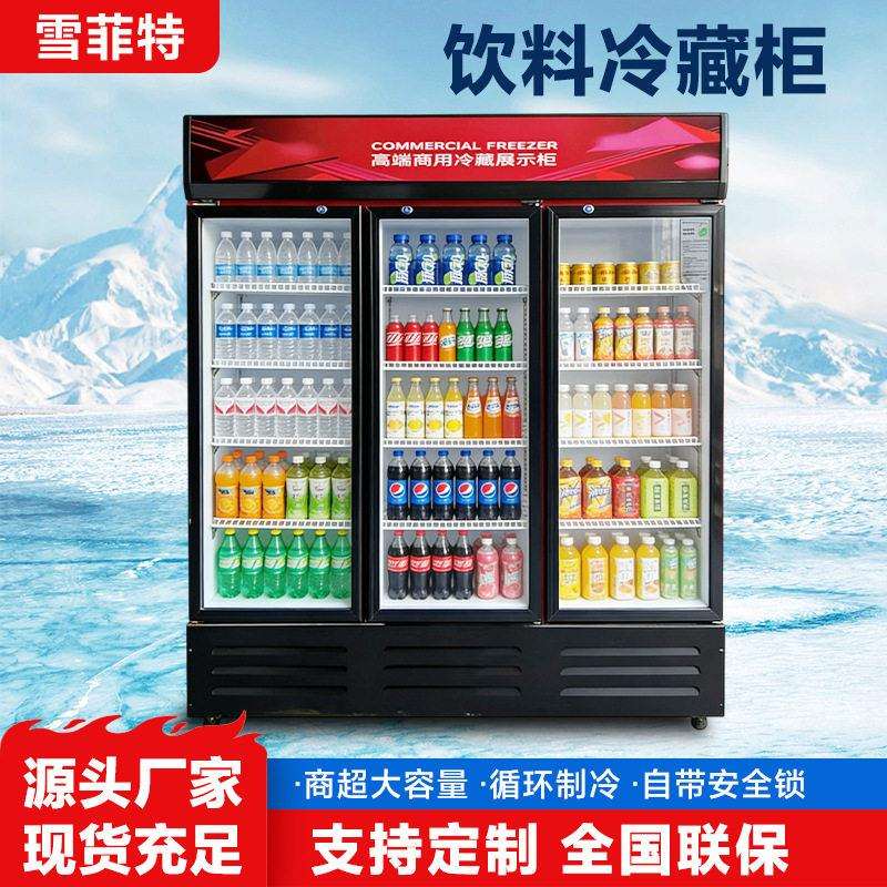 商用冷藏展示柜饮料啤酒冷冻保鲜柜蔬菜水果立式冰柜双门冰箱