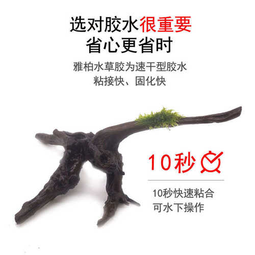 胶水斯胶水胶水丝up莫 水草莫斯批发木柏胶水水草胶雅珊瑚沉瞬间