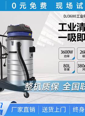 鼎洁盛世手推式工业吸尘器干湿两用车间粉尘吸尘大功率DJ3680