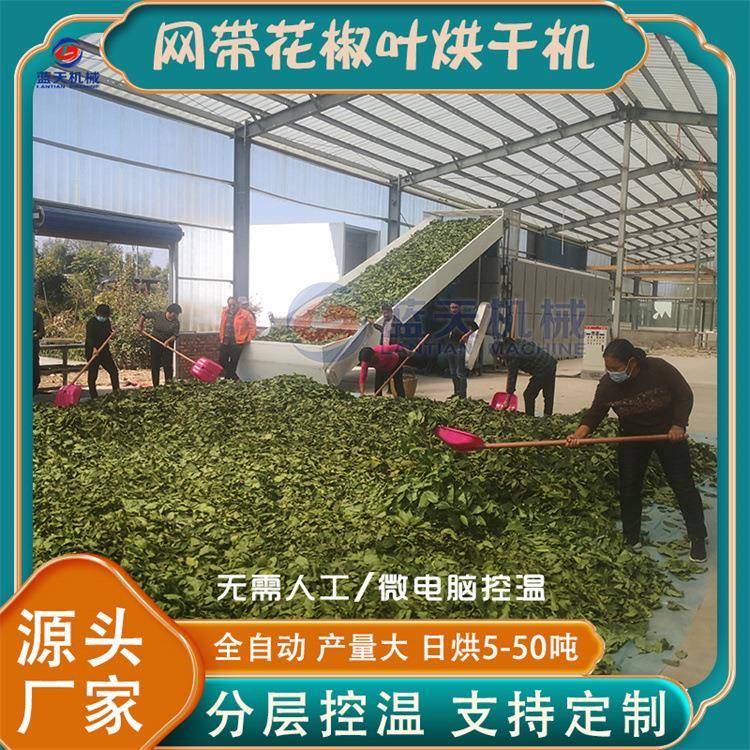 花椒佐料烘干设备大型连续青花椒叶清洗烘干线网带花椒叶烘干机