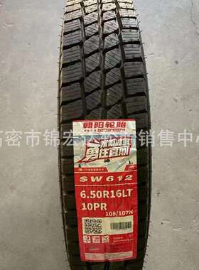 朝阳 真空全钢轻卡轮胎650R16轻卡载重750/6.50R16雪地轮胎