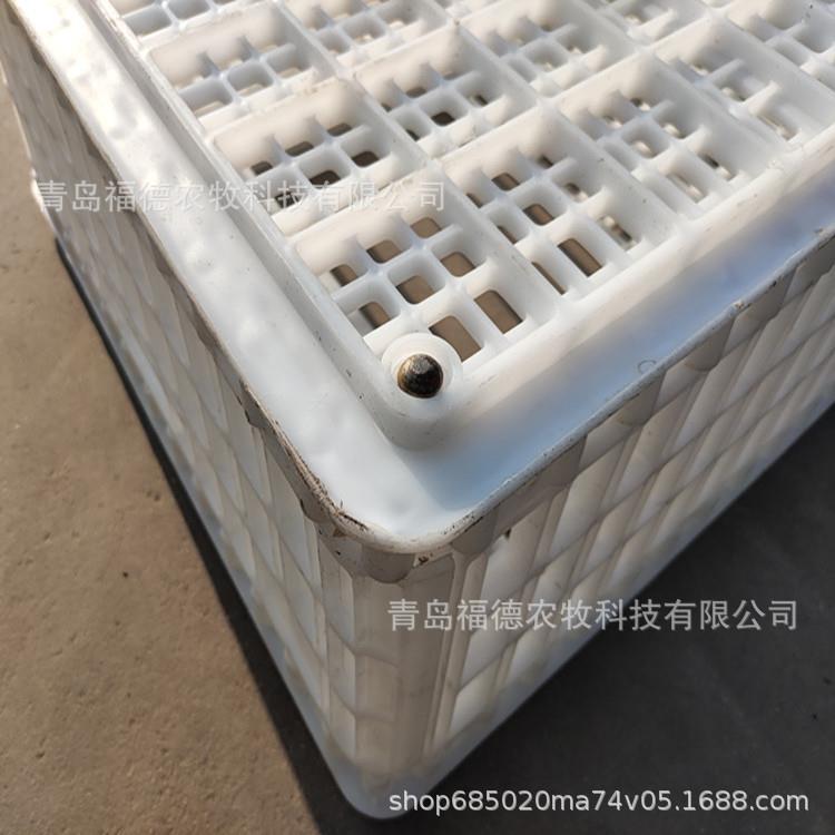 成鸡鸭鹅运输笼 特大号加厚长方形鸡笼子家禽用 拉鸡笼方形鸡筐