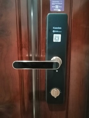 凯迪仕指纹锁HK300怎么样多少人不看这里被忽悠了？