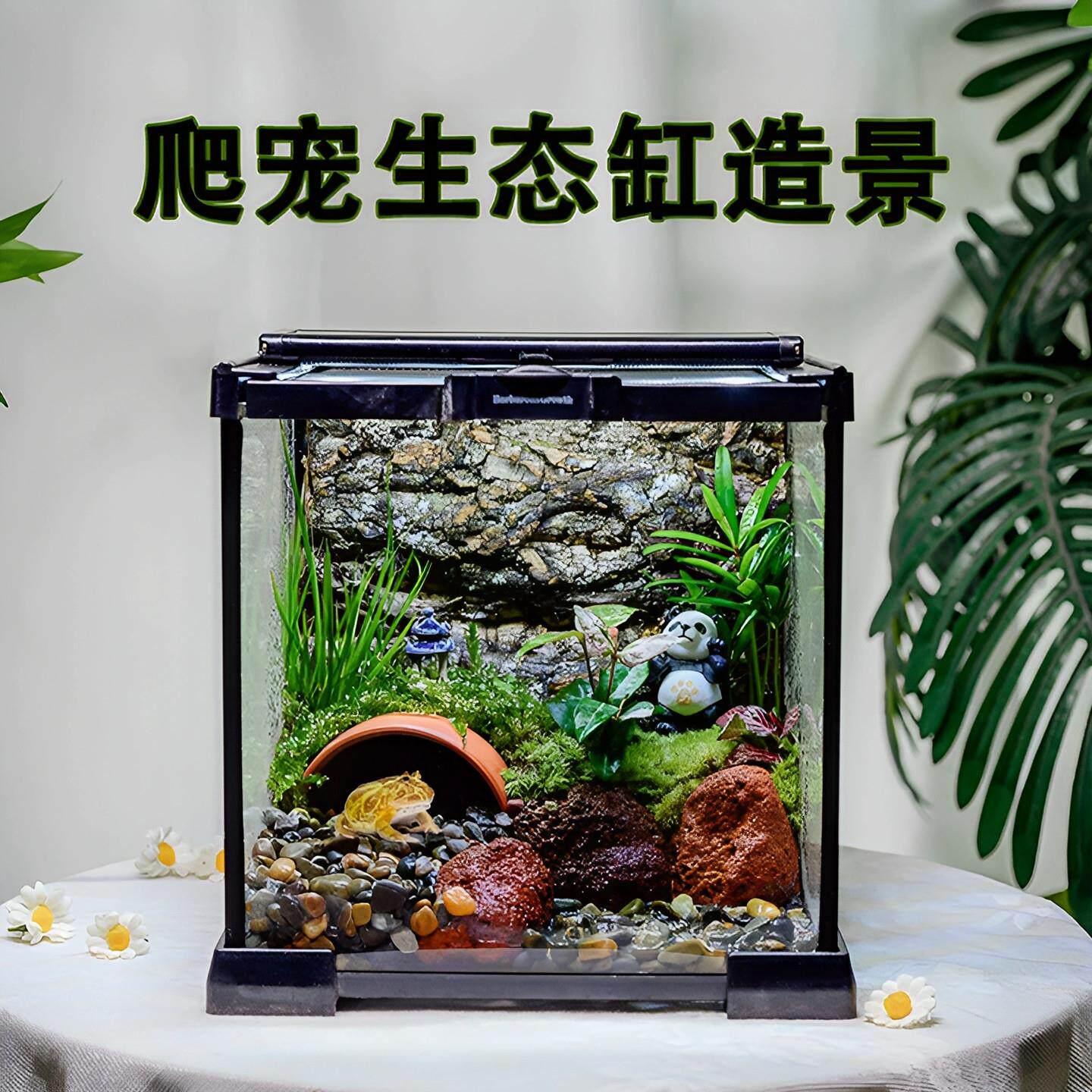 角蛙饲养箱生态缸造景全套养螃蟹专用缸桌面爬宠缸微景观成品摆件