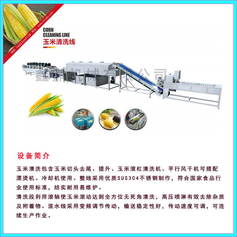 江苏速冻毛豆清洗机毛豆清洗加工成套机械豆荚杀青去皮机厂家