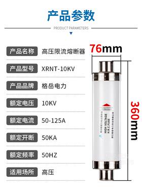高压熔断器高分断X能力限流RNTV10-120K5A63A80A1XRNP1-1000A变压