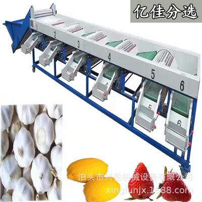 皇帝柑分级机蜜橘分拣机柠檬选果机不锈钢材质滚桶式水果分选机