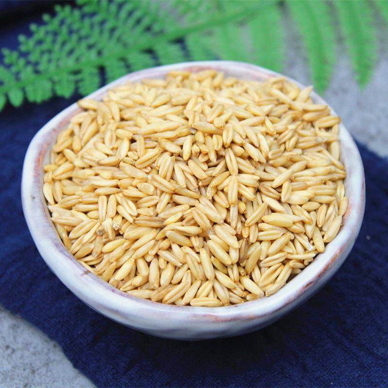 新货燕麦米5斤 农家自种燕麦仁荞麦米全胚芽燕麦五谷杂粮粗粮1斤