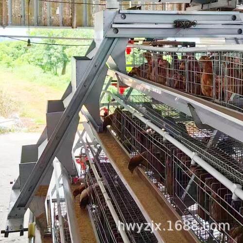 阶梯式养鸡笼匹配喂料设备热镀锌蛋鸡笼养殖饲喂设备厂家直供