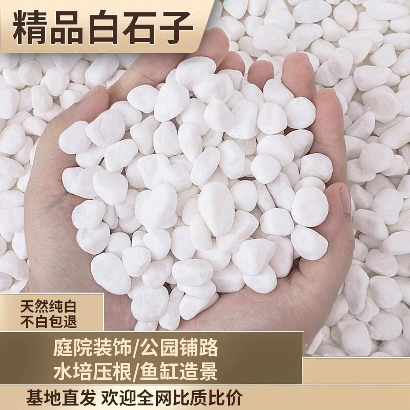安徽白石子白色石头小碎石庭院铺地舖路花园盆栽鱼缸装饰白石子