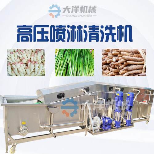 生姜清洗机不锈钢压洗姜机连续式鲜姜山清洗设备老姜加工设备