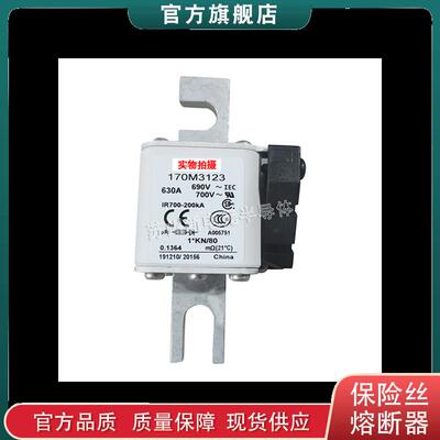 170M3188 3189 3190 3191 3192 巴斯曼bussmann快速熔断器保险丝
