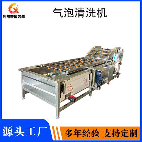 全自动气泡水果清洗机草莓樱桃清洗设备车厘子葡萄桃子洗果机