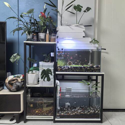 鱼缸架花架一体双层双周转箱溪流缸置物架底柜承重底座多层鱼缸架