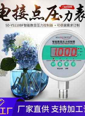 厂家供应  智能数显压力控制器 SD-YS110BF 电接点仪表气压控制器