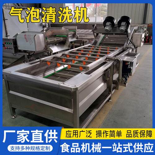 水果蔬菜气泡清洗机樱桃蔓越莓洗果机瓜果杨梅压喷淋洗果机