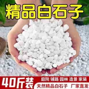 40斤白色鹅卵石铺路铺地天然庭院阳台造景石头花园砾石碎石白石子