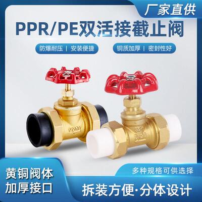 热熔PPR双活接铜停止阀PE水截门开关4分6分自来水管阀门开关配件