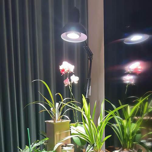 0W植物补光灯盆全灯光谱热带绿植栽3生长灯鱼缸落MVR地支架