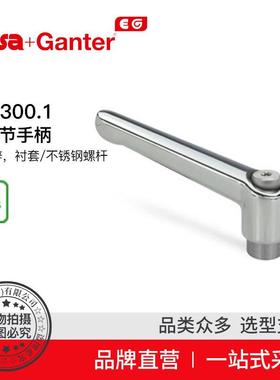 ElesaGanter伊莉莎冈特GN300.1可调节手柄压铸锌（7）