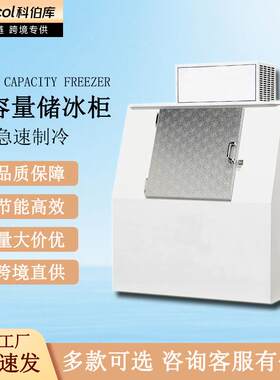 科伯库大容量储冰柜商用储冰机制冰机冰块冷冻机跨境直供出口冷冻