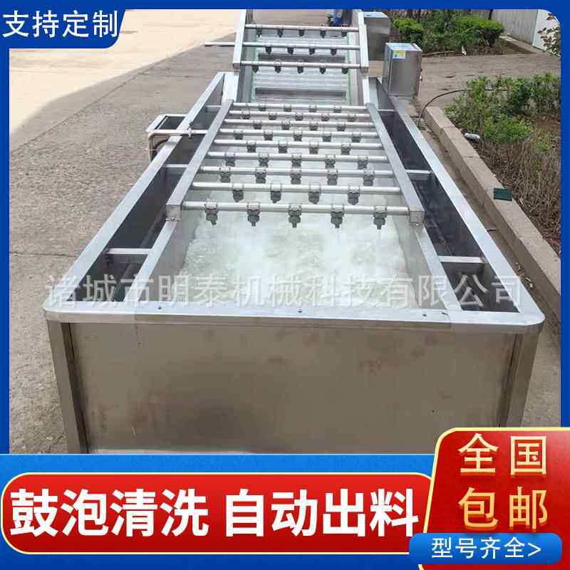 山野菜气泡清洗机包装袋洗袋机杨桃洗果机西红柿酱加工设备