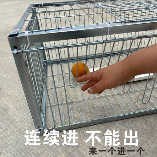 天落笼只进不出鸽子笼加密活络门鸽笼自动门撞门户外房顶鸽子笼子