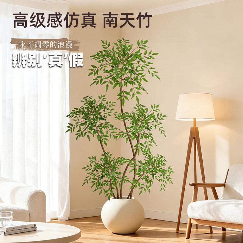 南天竹彷真绿色植物落地花艺摆件室内客厅大型盆栽小叶彷生花装饰